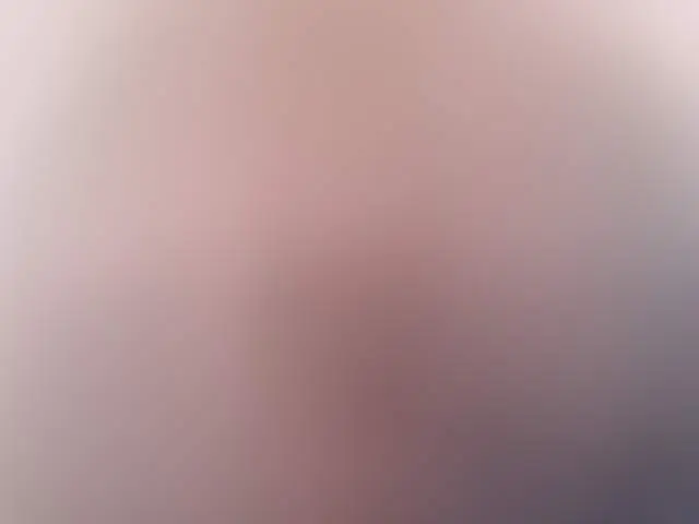 RosaSommet image 3